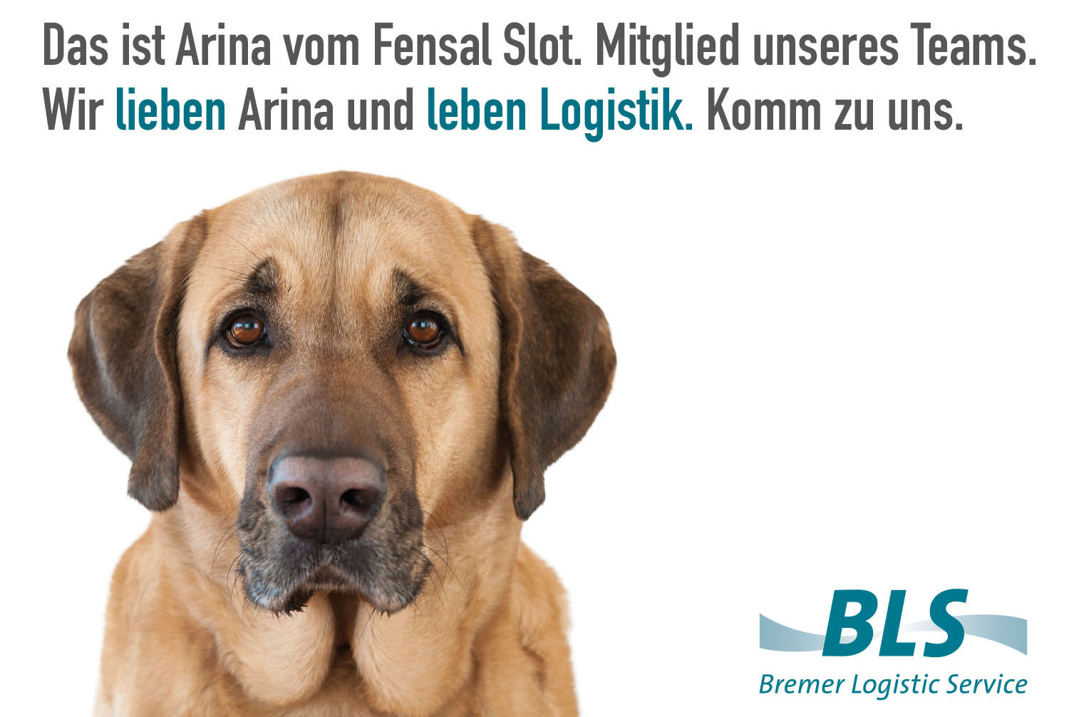 Wir lieben Arina und leben Logistik. Komm zu uns.